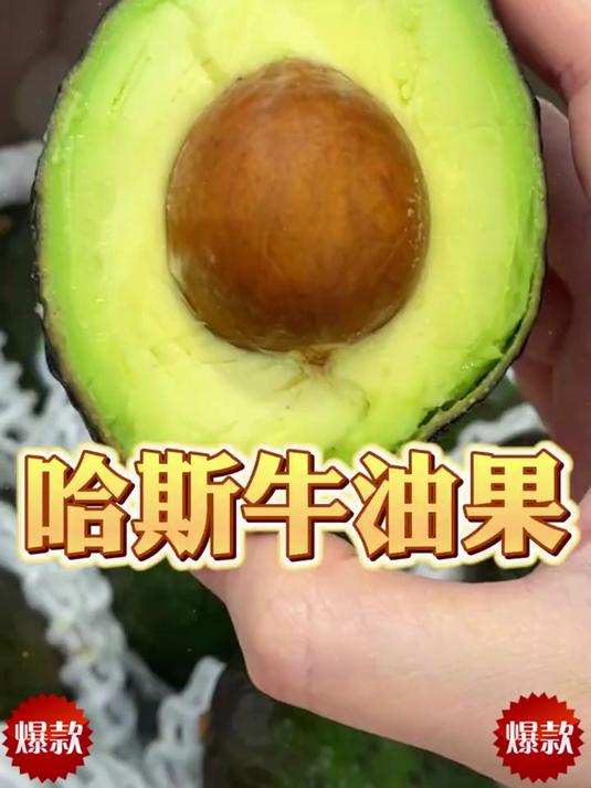 即食牛油果!熟度可控软糯多汁,沙拉榨汁三明治,早餐搭配好食材