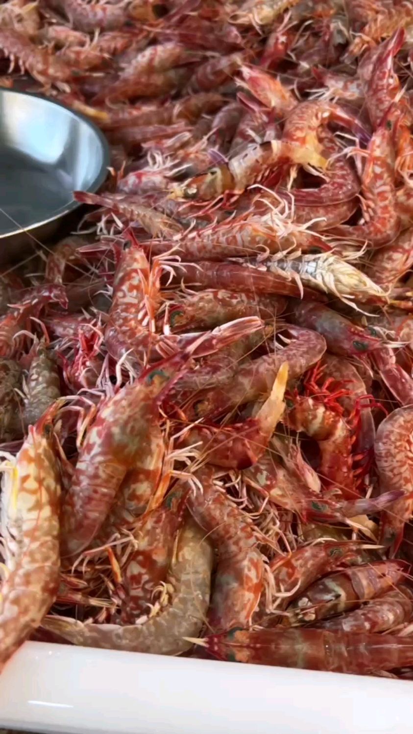 活樱花虾季节刺身海虾野生捕捞东山岛海鲜