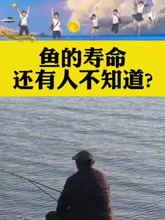 鱼的寿命还有人不知道