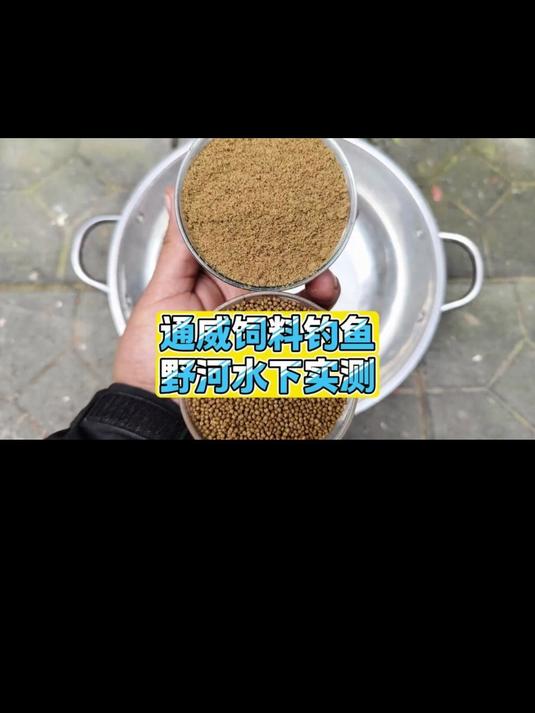 通威饲料钓鲤鱼到底靠谱吗?水下实测记录发窝全过程!