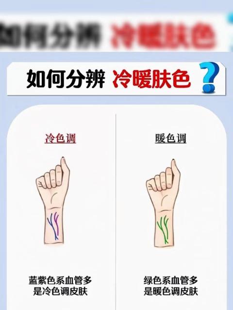 如何分辨冷暖肤色