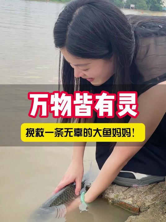万物皆有灵,拯救大鱼母亲!