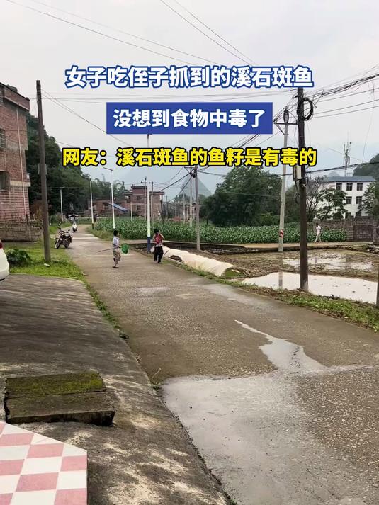 女子吃侄子抓到的溪石斑鱼，没想到食物中毒了，网友：溪石斑鱼的鱼籽是有毒的
