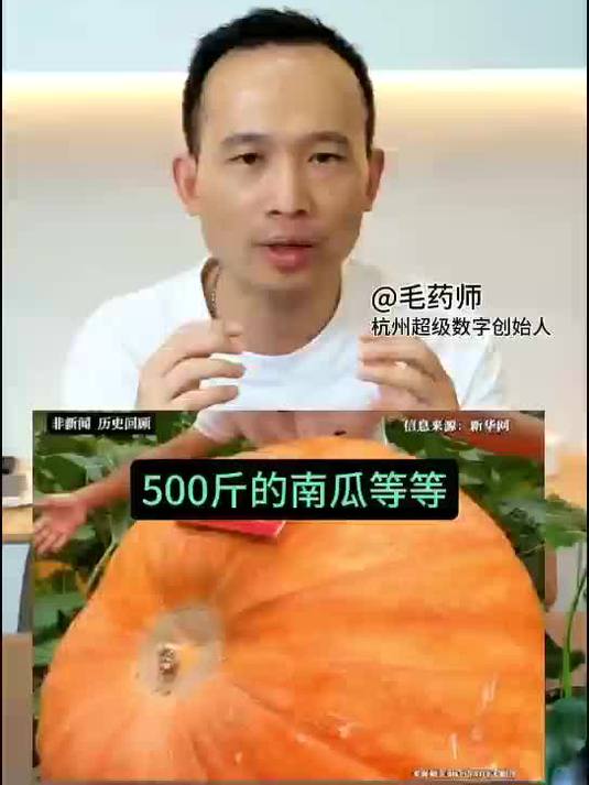 一株番茄苗长成“参天大树”，山东寿光蔬菜有多逆天？