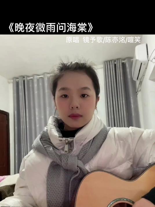 晚夜微雨问海棠