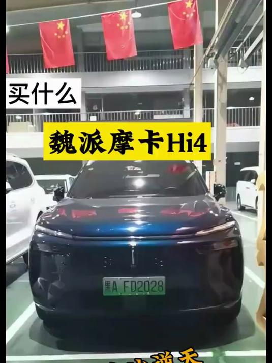 2024上牌准新魏派摩卡，直降8万+，性价比逆天