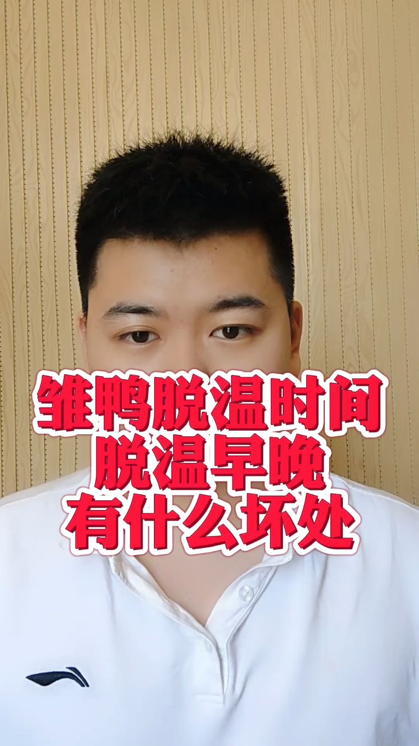 #夏天小鸭子几天可以脱温小黄鸭多久可以脱温鸭苗脱温要几天鸭子脱温要多久