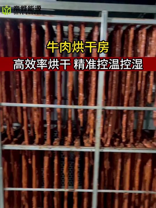 牛肉干加工厂必备:全自动烘干房解决方案
