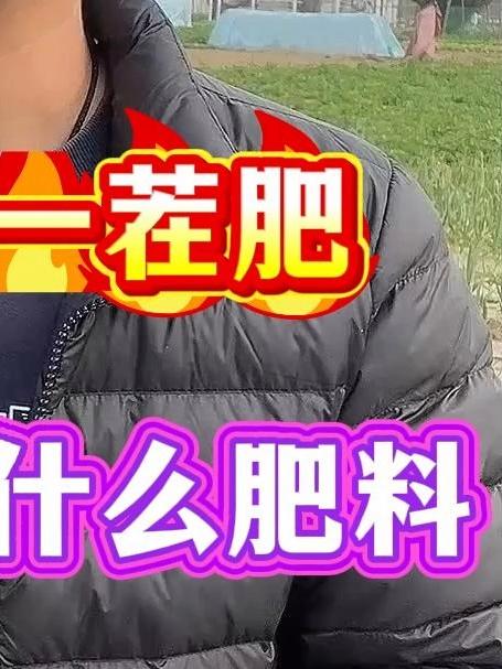 一茬韭菜一茬肥韭菜最喜欢的肥料土壤活化剂