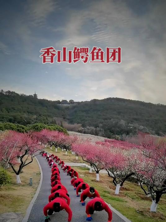 鳄鱼爬配上俄罗斯队长音乐太霸气了,整个山谷都在回荡