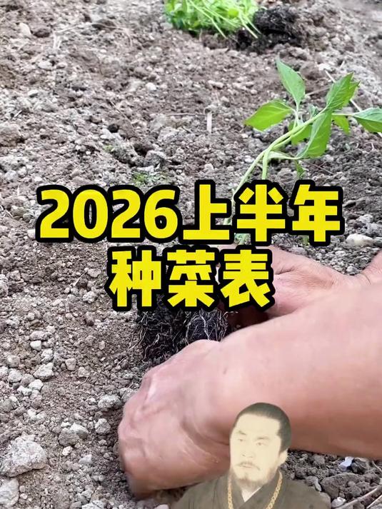 2026上半年种菜表