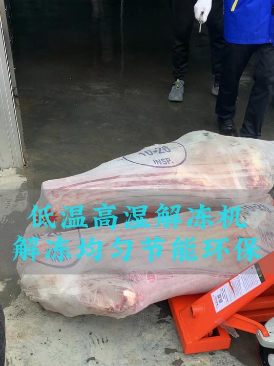 低温高湿解冻机 牛肉解冻设备 冻肉缓化解冻机