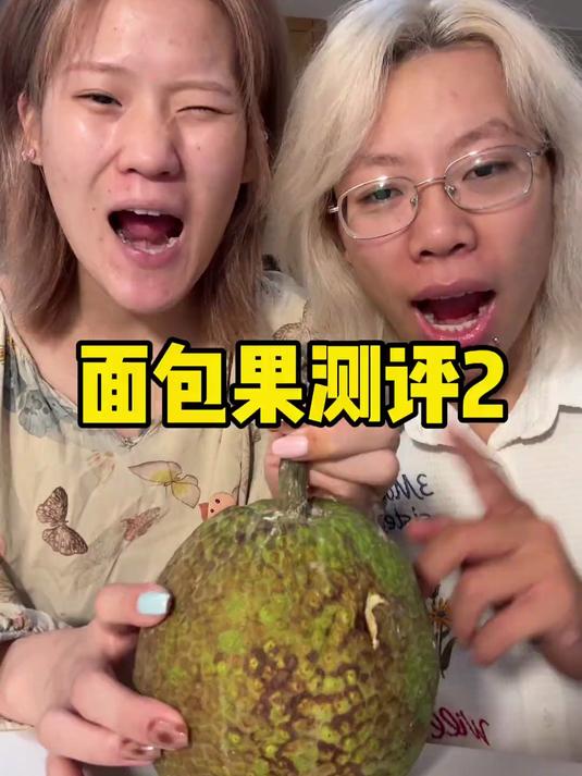 面包果测评