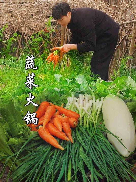 初春的菜园里全是美味,沉浸式采摘一篮子蔬菜,煮上一顿蔬菜火锅