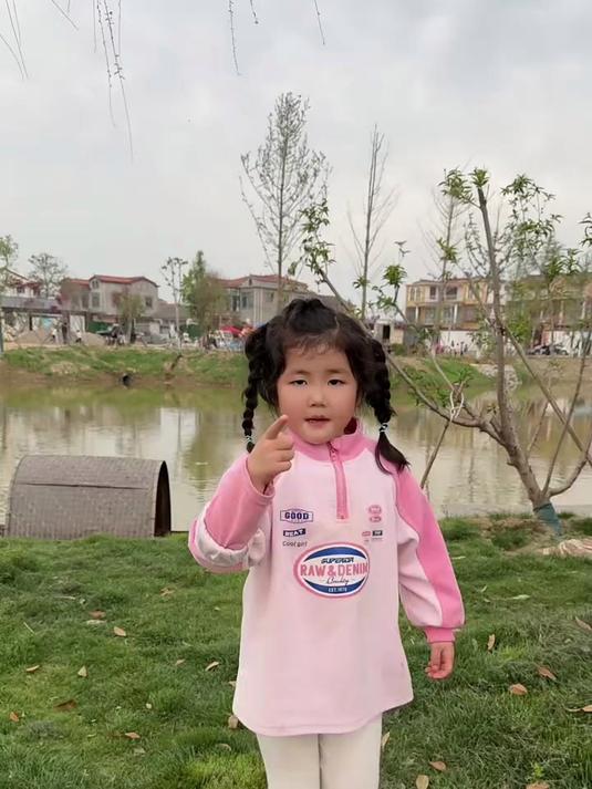 你们见过会飞的鱼吗?