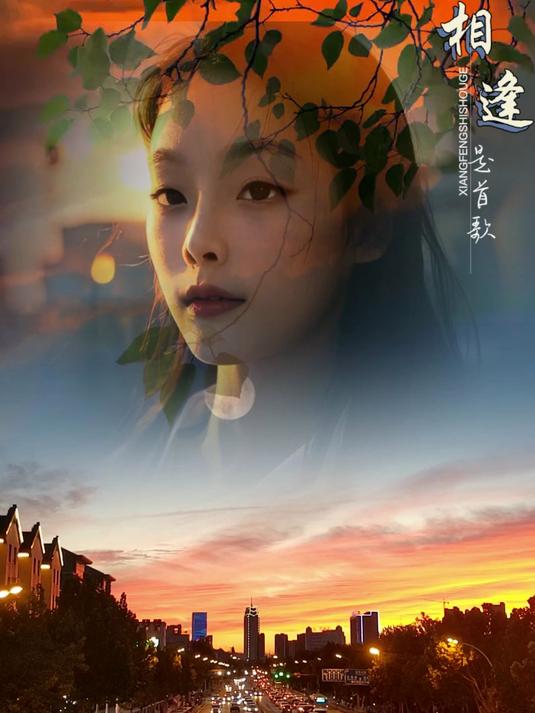 一夜相思万滴泪,化着手中酒一杯 愿所求皆所愿 诗句