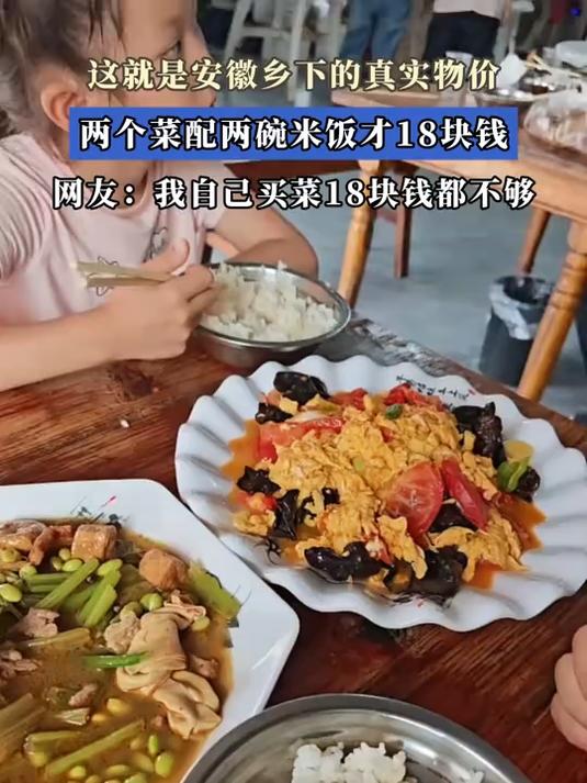 这就是安徽乡下的真实物价,两个菜配两碗米饭才18块钱