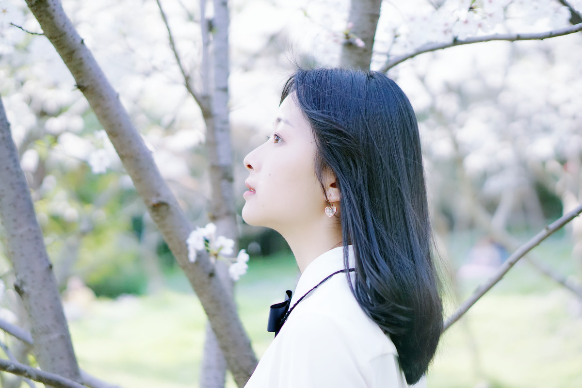 图片[33]-樱花树下-六色网