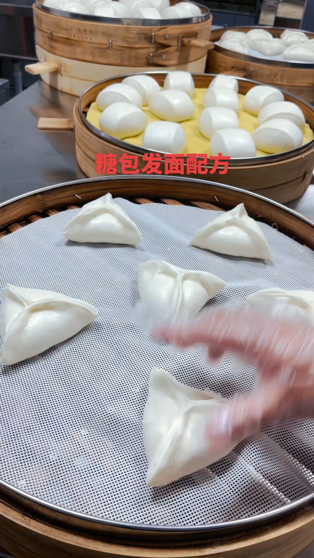 糖包子发面配方:面粉500克,酵母4克,改良剂2克,白糖5克,水260克#糖包子 #糖包