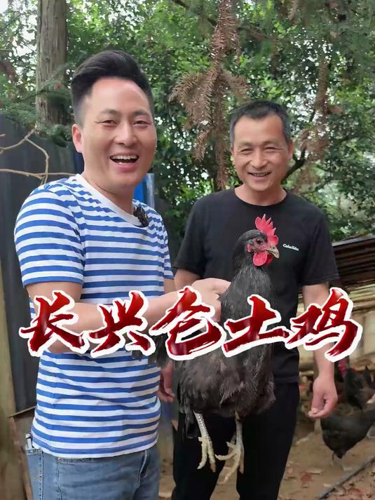 隐世桃源巷子口长兴仑,山泉水炒土鸡让我吃到了儿时味