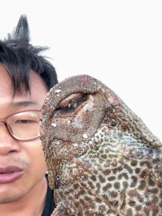 剿灭清道夫！捕获笋壳鱼，土葬“入侵者”后，它们真的变少了吗