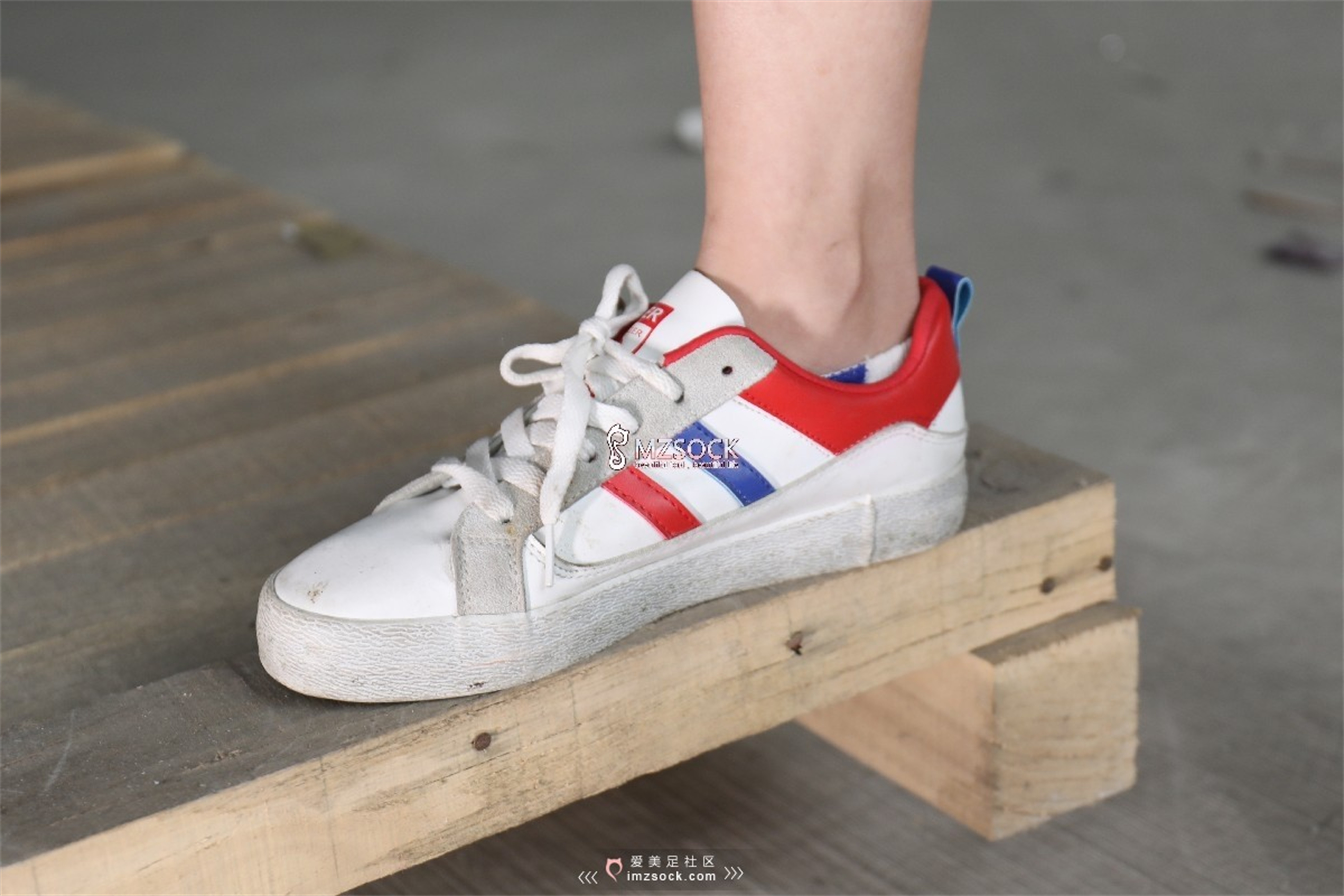图片[87]-[MZSOCK]爱美足 NO.066 叮叮[102P238M]-六色网