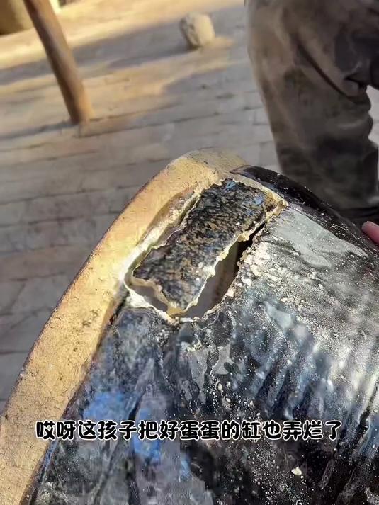 鱼池好了小鸡来了鸡窝得赶紧盖搬砖模式开启