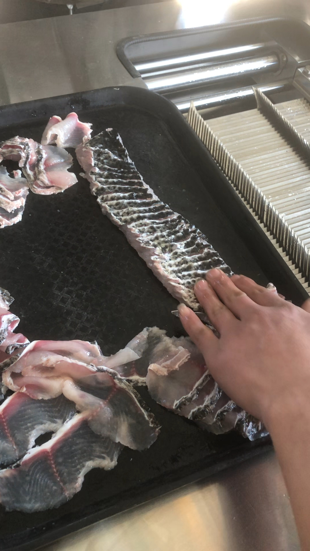 切鱼片机器价格操作简单,方便