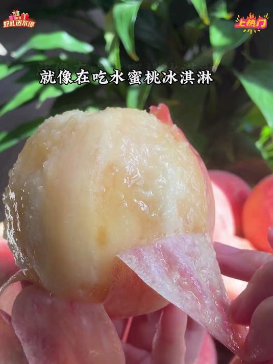 一口爆汁的阳山水蜜桃,插上吸管就能喝!都说它贵好的东西能不贵