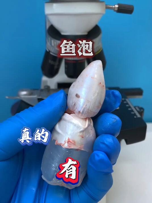 鱼泡你在吃鱼的时候扔掉吗?