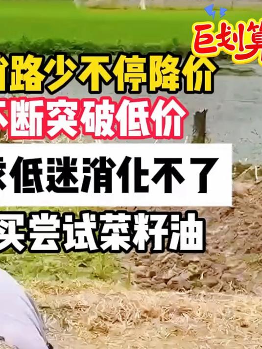 产量大销路少只能不断降价 菜籽油