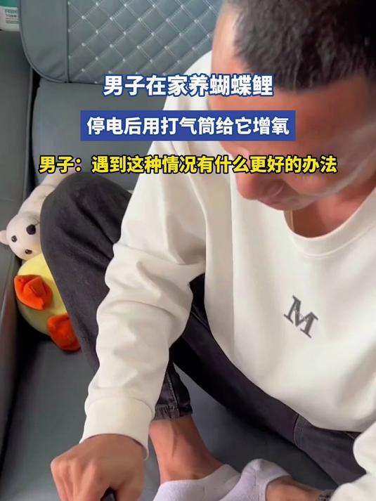 男子在家养蝴蝶鲤,停电后用打气筒给它增氧,男子:遇到这种情况有什么更好的办法