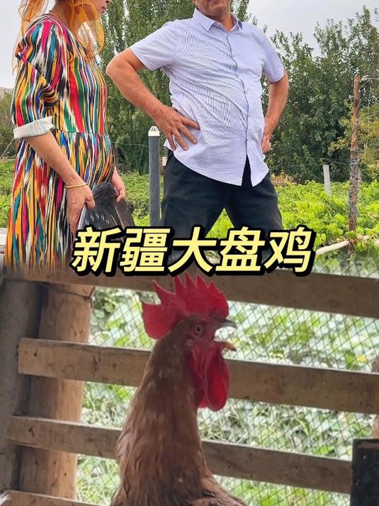 新疆大盘鸡