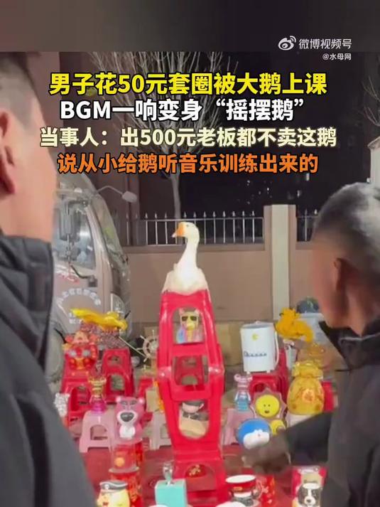 男子花50元套圈被大鹅上了一课(来源:海报新闻)