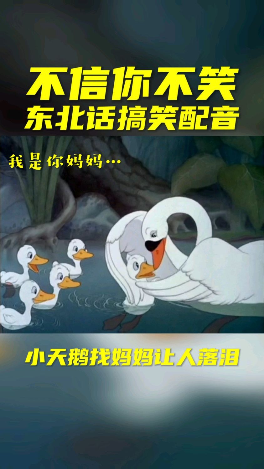 搞笑配音 小天鹅找妈妈!太感人了!