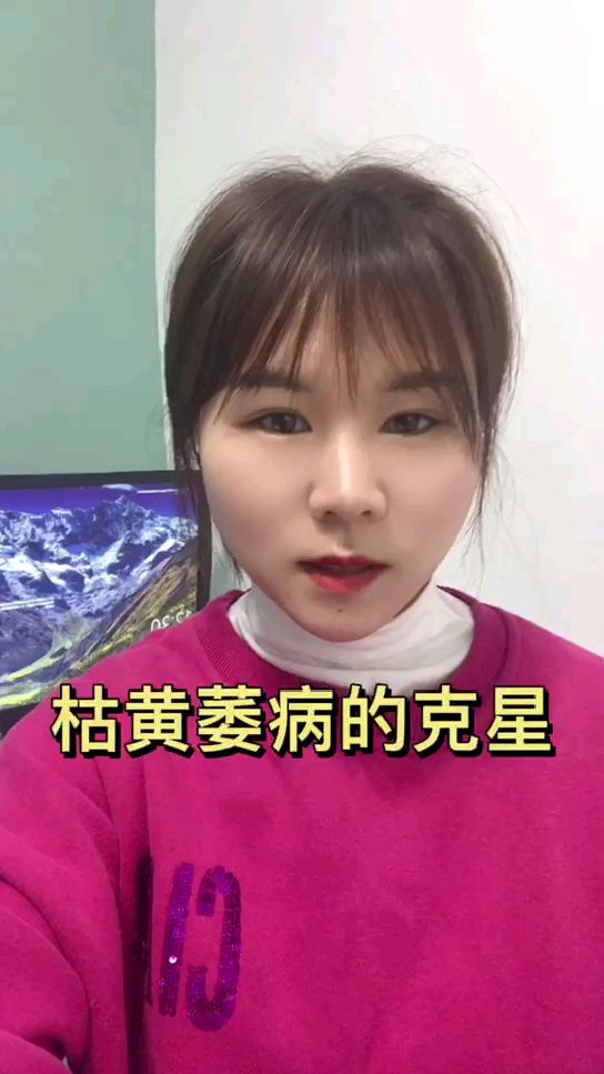 农业朋友们,防治枯黄萎病,青枯病,立枯病的方法你用对了吗?