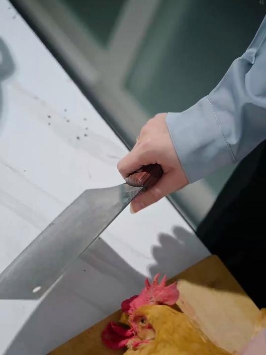 为了验证老母鸡和女儿是否有关联，女人竟然拿刀划鸡脚