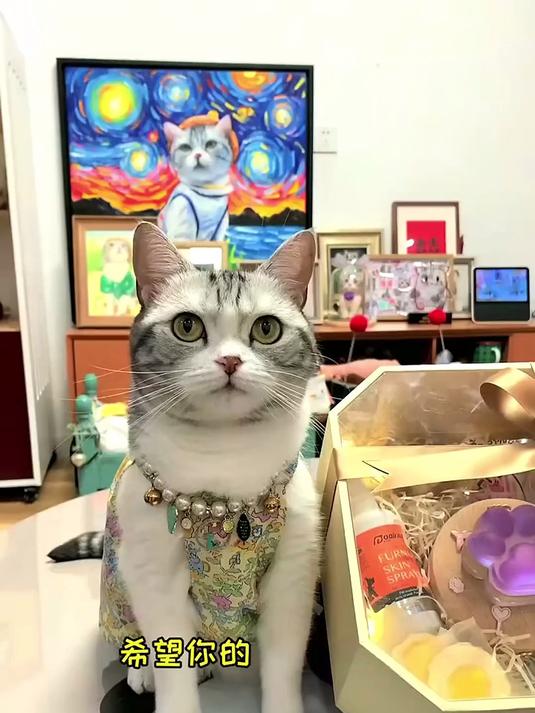 和泡芙一起做了个小礼物 希望安生会喜欢