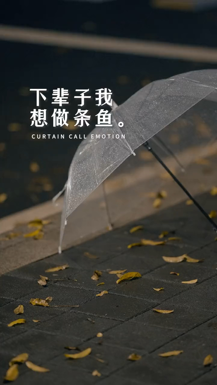 下辈子,想做一条鱼