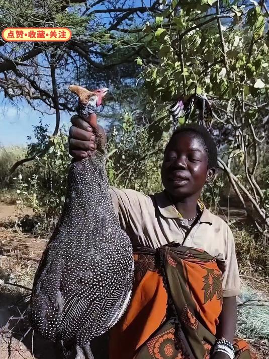哈扎比人吃凤凰鸡，看起来很不错