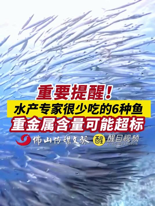 水产专家很少吃的6种鱼重金属含量可能超标出镜:刘畅;编辑:崔锦玥;责编:周志钊;素材来源: