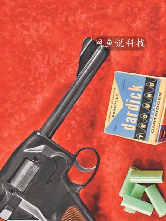 大鹅的特种手枪,有弹匣,有左轮,还是三角子弹