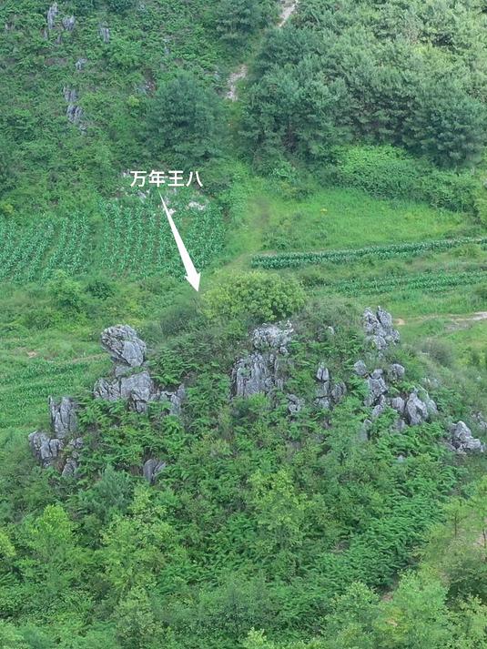 贵州发现“亿年王八”,足足一座山那么大,至今没人敢碰