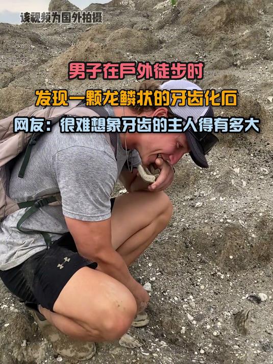 男子在户外徒步时,发现一颗龙鳞状的牙齿化石