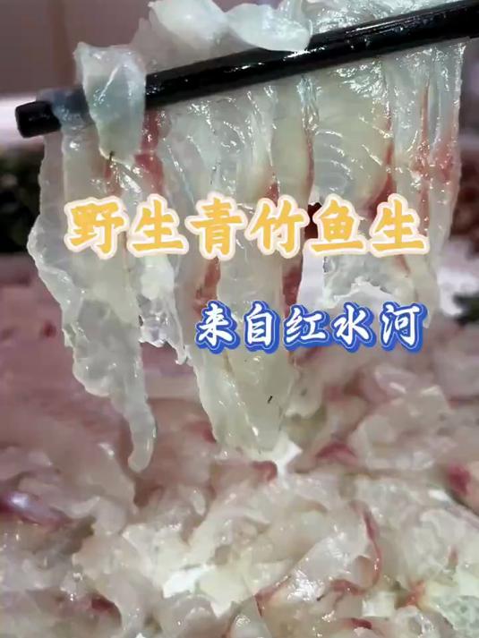 广西红水河野生青竹鱼生肉质晶莹剔透，周末小聚鱼生走起