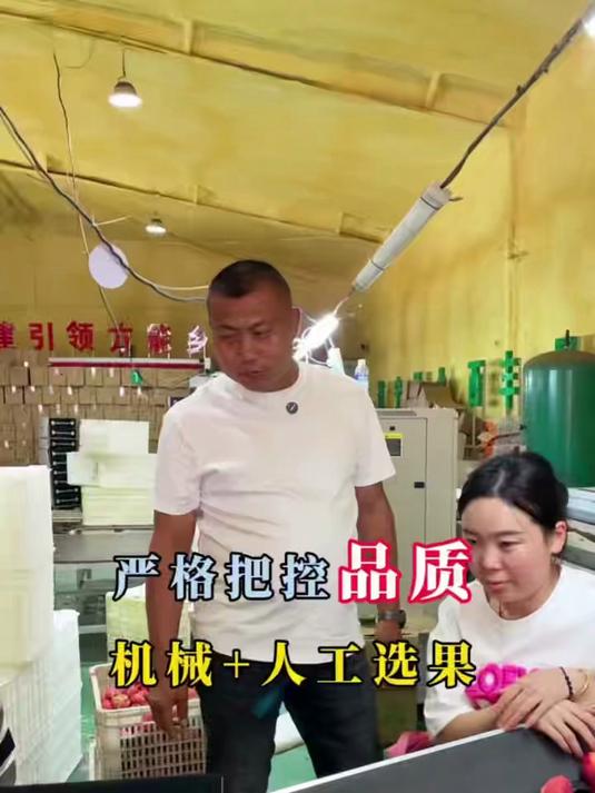 新到东北特产鸡心果,也叫海棠果,嘎巴脆甜
