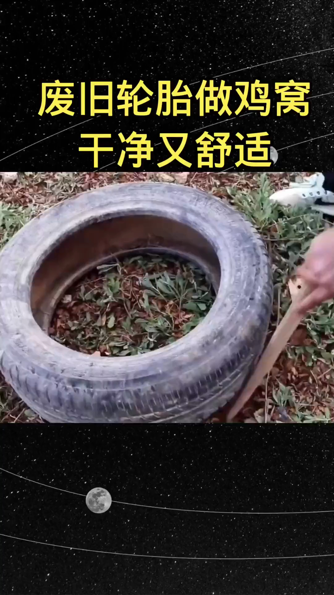 变废为宝不要的轮胎做鸡窝干净舒适
