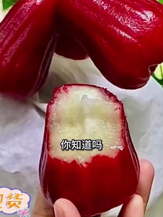 现摘莲雾登场,质地脆嫩爽口,清甜滋味美不停