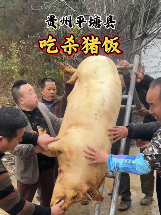 贵州黔南杀猪饭有这么一道菜,吃过之后就让你念念不忘