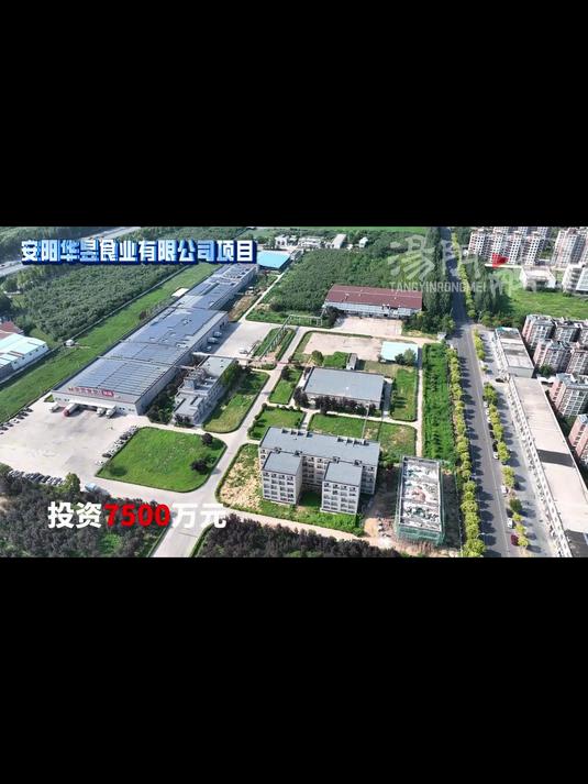 汤阴高质量发展项目巡礼——走进城关镇华昱食业